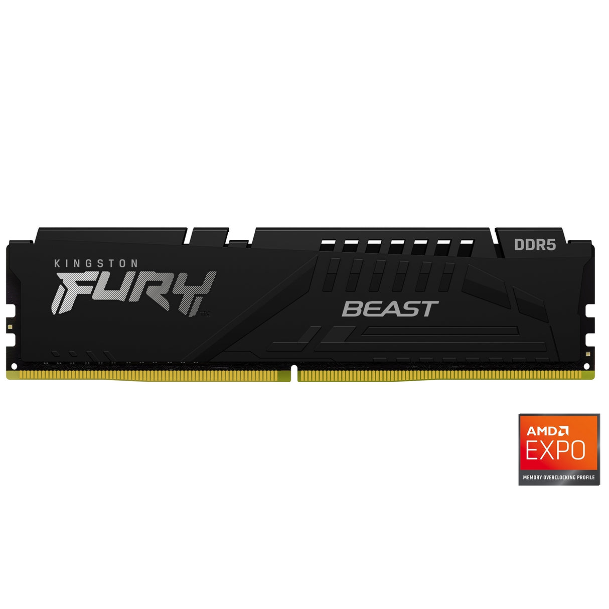 Kingston FURY Beast KF556C36BBE-16 16GB (1x 16GB) DIMM System Memory, 5600MHz, DDR5, CL36, Black, Intel XMP, AMD EXPO